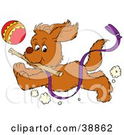 Happy Puppy Running With A Purple Leash Attached Chasing A Ball And Fetching A Stick