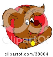 Poster, Art Print Of Friendly Brown Puppy Dog Wearing A Blue Collar Peeking Out Through A Red Circle