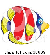 Friendly Yellow Blue White And Red Saltwater Fish In Profile