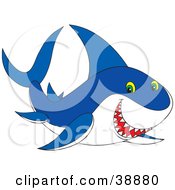 Poster, Art Print Of Grinning Blue And White Shark