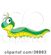 Poster, Art Print Of Cute Green Caterpillar With A Yellow Belly