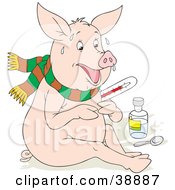 Clipart Illustration Of A Sick Pig With The Flu Sweating Holding A Thermometer And Sitting With Medicine by Alex Bannykh