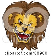 Poster, Art Print Of Mean Growling Lion Head With A Thick Mane