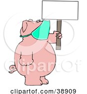 Clipart Illustration Of A Pig Wearing A Mask And Holding Up A Blank Sign Avoiding The Swine Flu