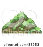 Poster, Art Print Of Grassy Mountain
