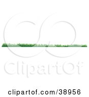 Poster, Art Print Of Long Grassy Border