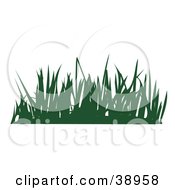 Poster, Art Print Of Tuft Of Silhouetted Green Lawn