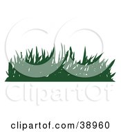 Poster, Art Print Of Tuft Of Silhouetted Green Turf