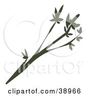 Clipart Illustration Of A Tree Branch Silhouette With Leaves On The Tips