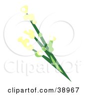 Poster, Art Print Of Green Plant With Yellow Blooming Flowers