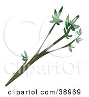 Clipart Illustration Of A Tree Branch With Green Leaves On The Tips