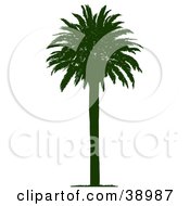 Clipart Illustration Of A Straight And Tall Silhouetted Coconut Palm Tree