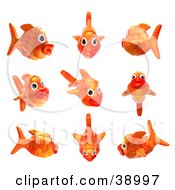 3d Goldfish Shown In Nine Different Poses