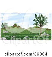 Poster, Art Print Of Grassy Landscape With Trees Plants Hills And Boulders