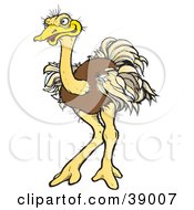Poster, Art Print Of Brown Ostrich Bird With Ruffled Feathers