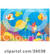 Clipart Illustration Of An Underwater Scene Of Marine Fish Socializing With A Seahorse And Sea Turtle Above A Coral Reef by Alex Bannykh #COLLC39038-0056
