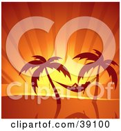 Woman Relaxing In A Hammock Suspended Between Palm Trees Silhouetted At Sunset
