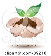 Person Supporting A Seedling Plant In Dirt In Their Hands