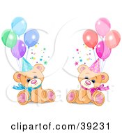 Male And Female Twin Birthday Bears Wearing Party Hats And Sitting With Balloons