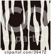 Black And White Zebra Lined Print Background