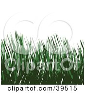 Clipart Illustration Of A Background Of Organic Green Blades Of Grass Over White