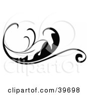 Poster, Art Print Of Curvy Leaf Scroll On White