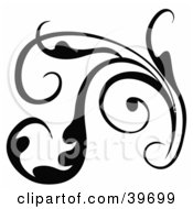 Clipart Illustration Of A Lush Black And White Plant With Tendrils And Curled Leaves