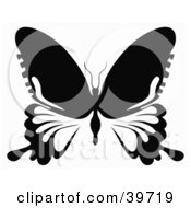 Poster, Art Print Of Black And White Butterfly With Long Extensions On Its Lower Wings