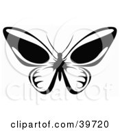 Poster, Art Print Of Flying Butterfly In Black And White Its Wings Open