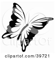 Poster, Art Print Of Black And White Flying Butterfly