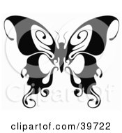 Poster, Art Print Of Beautiful Black And White Butterfly With Curling Tips On Its Wings