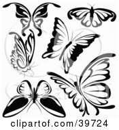 Poster, Art Print Of Six Black And White Butterflies