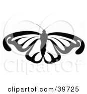 Poster, Art Print Of Flying Black And White Butterfly