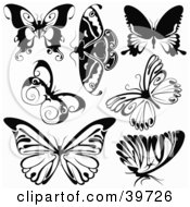 Poster, Art Print Of Seven Black And White Butterflies