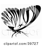 Poster, Art Print Of Black And White Butterfly In Profile