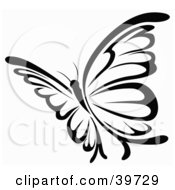 Poster, Art Print Of Pretty Black And White Flying Butterfly