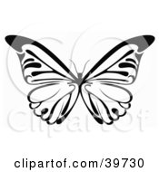 Poster, Art Print Of Black And White Butterfly With Its Wings Spanned