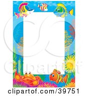 Underwater Stationery Border Of Saltwater Fish And Crabs At A Reef