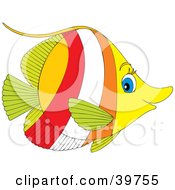 Poster, Art Print Of Profile Of A Green Yellow Red White And Orange Fish