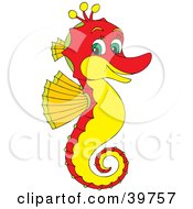 Friendly Red Seahorse With A Yellow Belly And Green Eyes