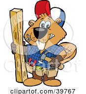 Carpenter Beaver Building With Wood Biting Nails In His Mouth