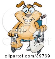 Poster, Art Print Of Accident Prone Doggy Character Sitting In A Wheelchair