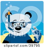 Poster, Art Print Of Blue Eyed Male Giant Panda Bear Wearing Blue Snorkel Gear Holding A Fish Underwater