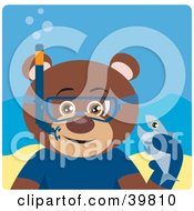 Poster, Art Print Of Brown Male Teddy Bear Wearing Blue Snorkel Gear Holding A Fish Underwater