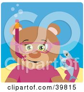 Poster, Art Print Of Green Eyed Female Teddy Bear Wearing Pink Snorkel Gear Holding A Fish Underwater
