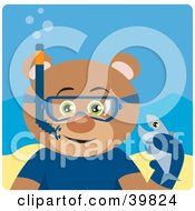 Green Eyed Male Teddy Bear Wearing Blue Snorkel Gear Holding A Fish Underwater