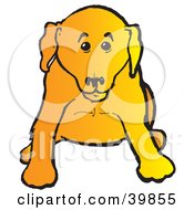 Poster, Art Print Of Cute Yellow Lab Puppy Dog Sitting And Facing Front