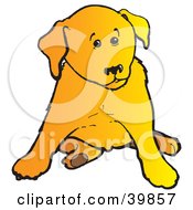 Cute Yellow Lab Puppy Dog Sitting And Looking To The Side