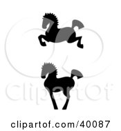 Poster, Art Print Of Leaping And Proud Black Silhouetted Oriental Horses In Profile