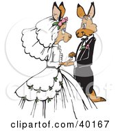 Poster, Art Print Of Loving Kangaroo Bride And Groom Getting Married